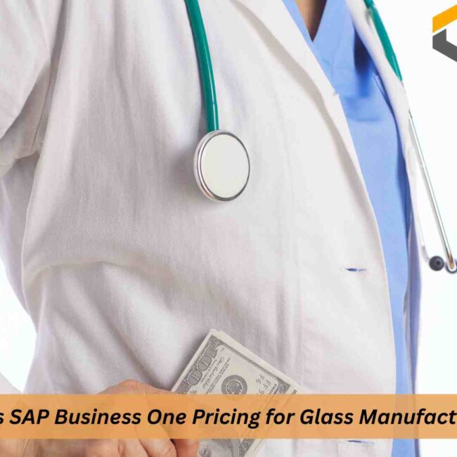 SAP Business One Pricing plan for healthcare ERP solution and cost calculator overview