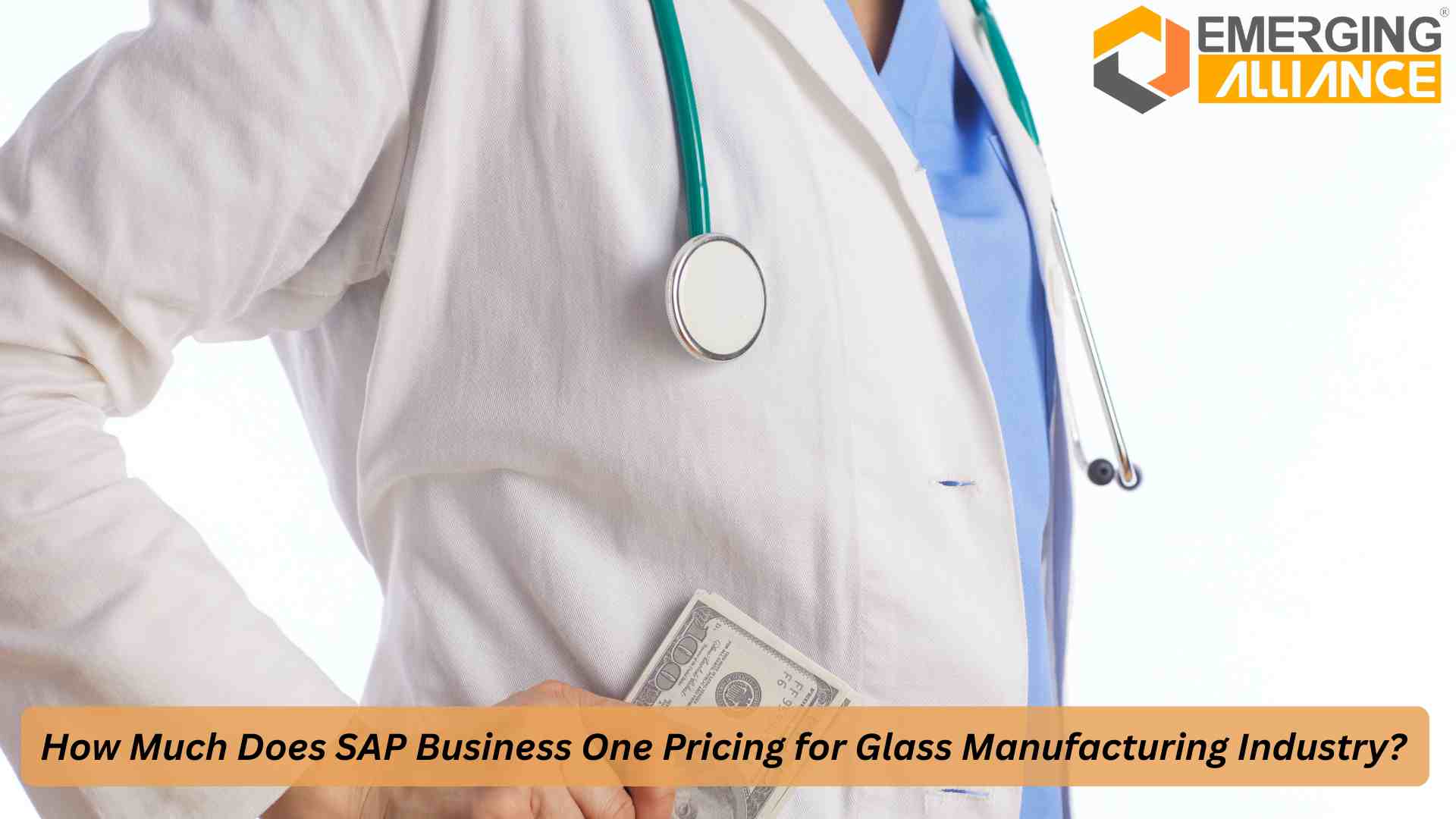 SAP Business One Pricing plan for healthcare ERP solution and cost calculator overview