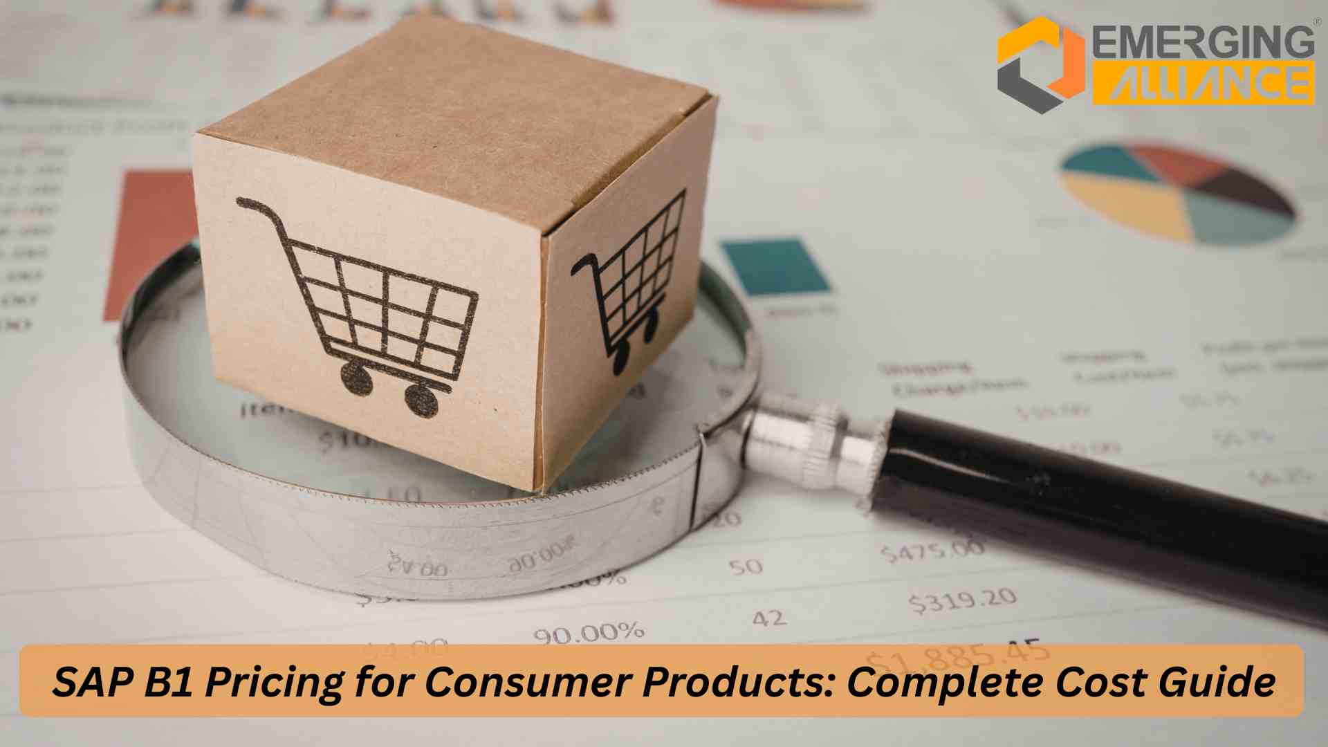 SAP B1 Pricing Consumer Products dashboard showing ERP cost, modules, and implementation overview