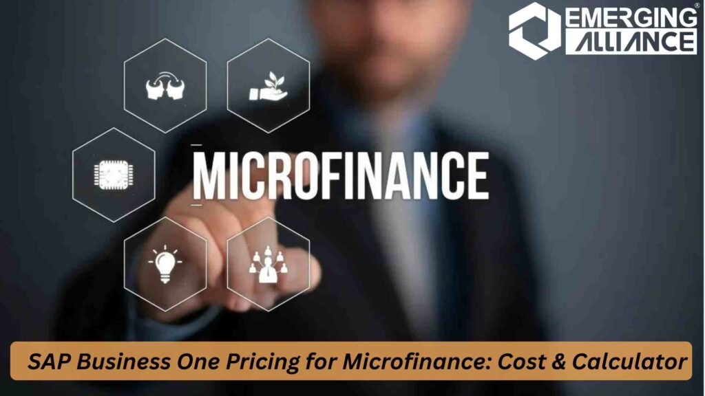 SAP B1 Pricing Plan & Cost Calculator screen for microfinance ERP cost estimation