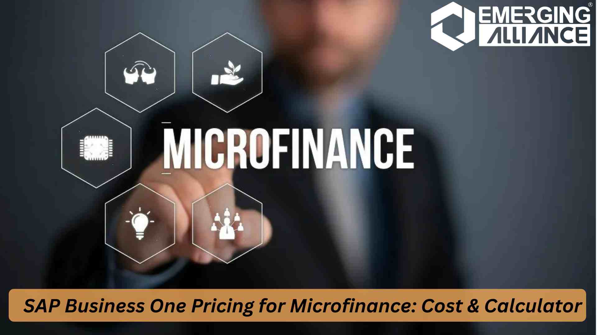 SAP B1 Pricing Plan & Cost Calculator screen for microfinance ERP cost estimation