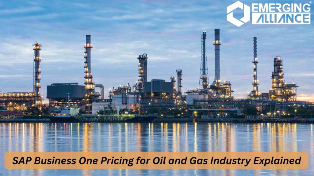 SAP Business One Pricing for Oil & Gas Industry with ERP Dashboard Overview