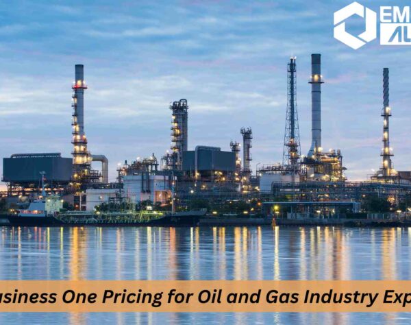 SAP Business One Pricing for Oil & Gas Industry with ERP Dashboard Overview