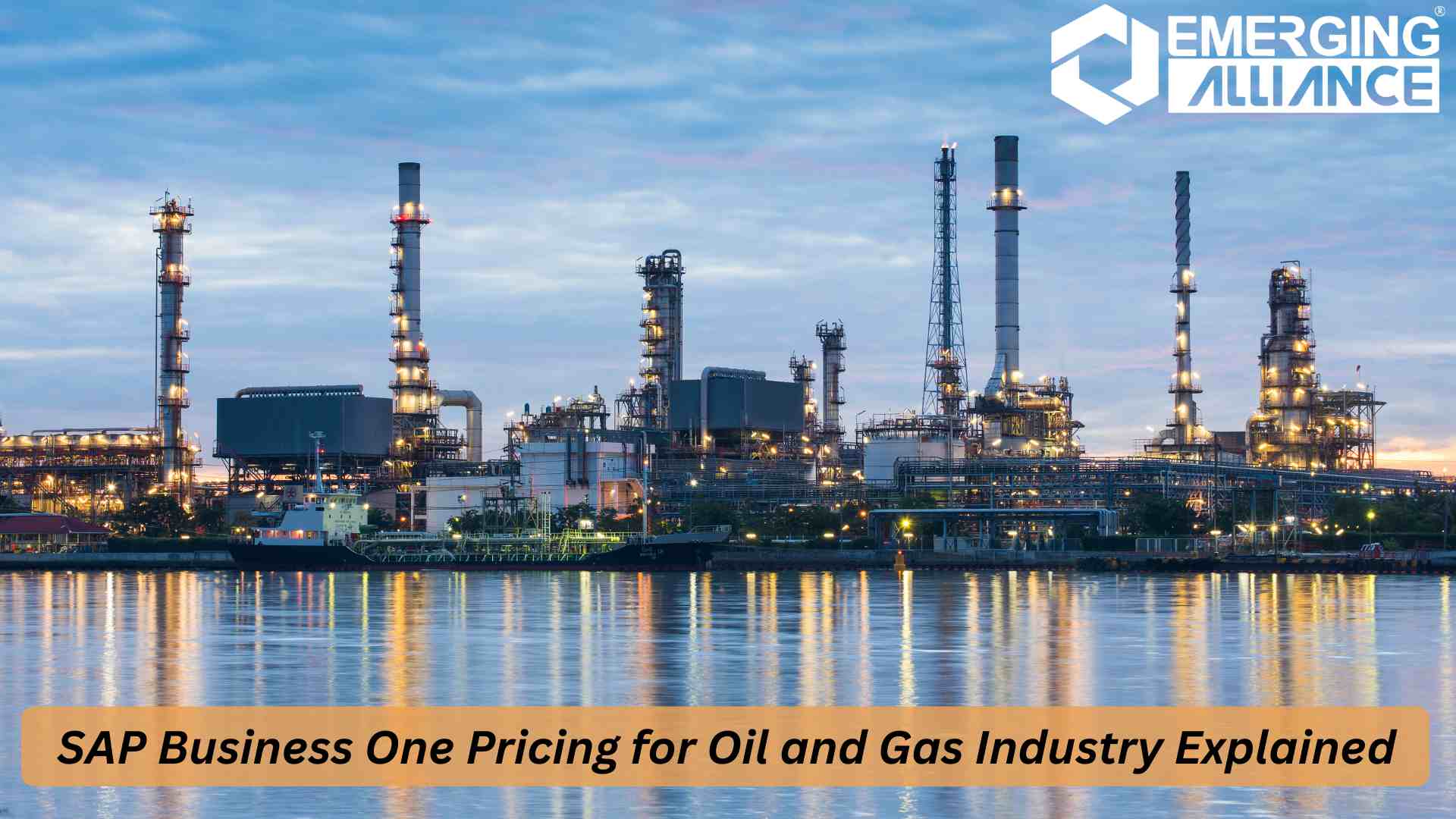 SAP Business One Pricing for Oil & Gas Industry with ERP Dashboard Overview
