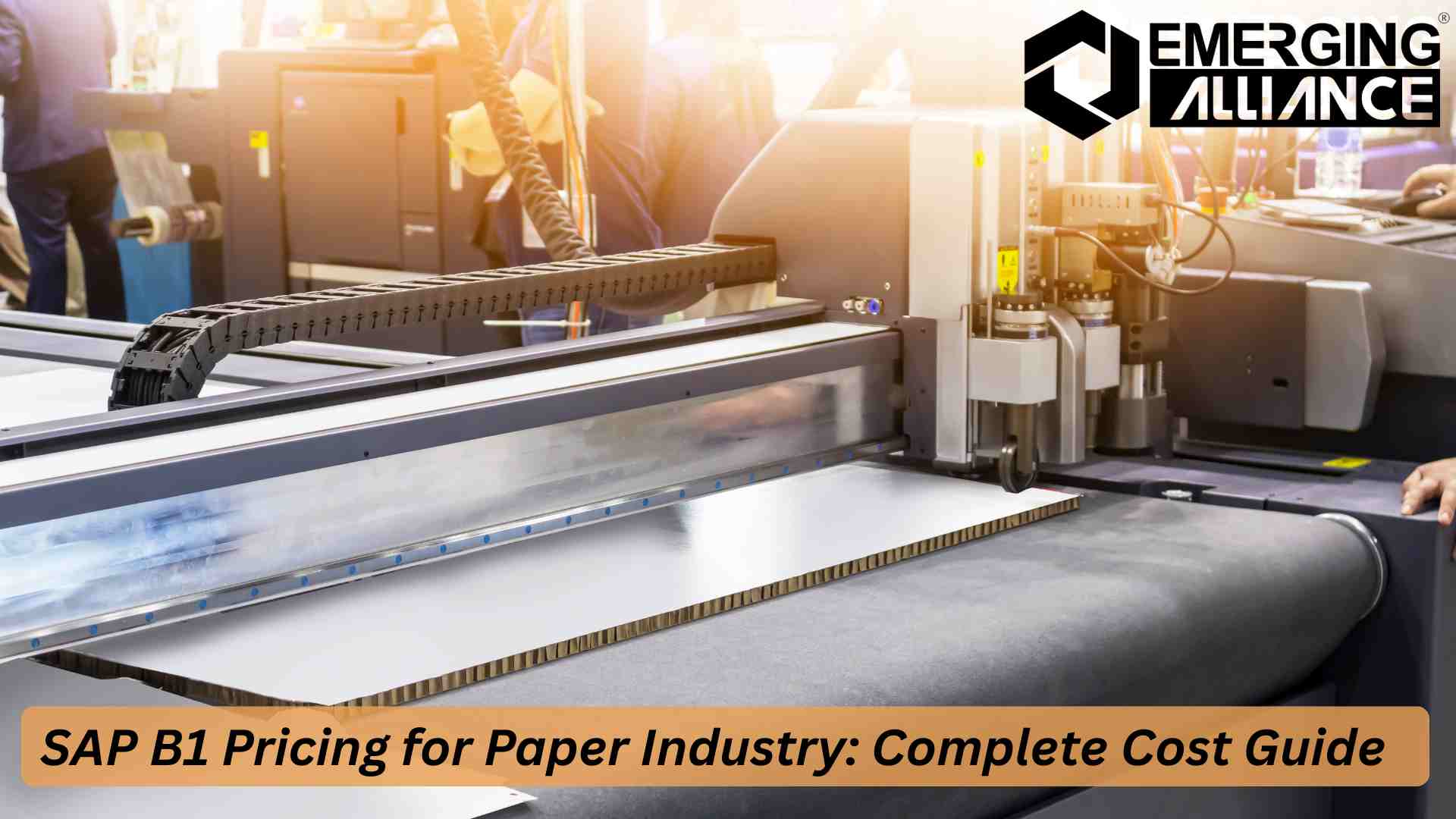 SAP B1 pricing for paper industry in India showing ERP cost, modules, and implementation for paper manufacturing