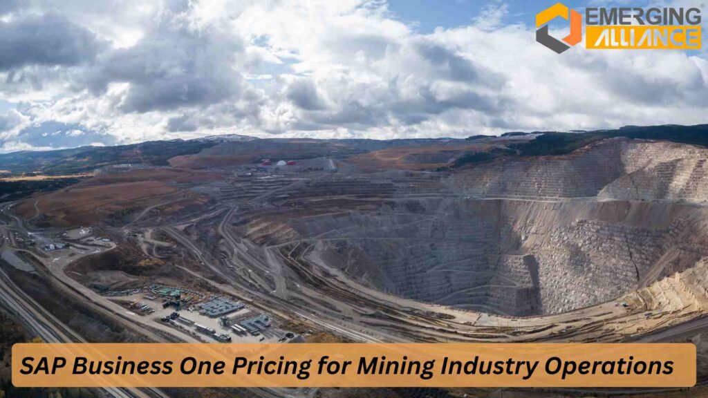 Mining operations dashboard using SAP Business One Pricing for Mining Industry