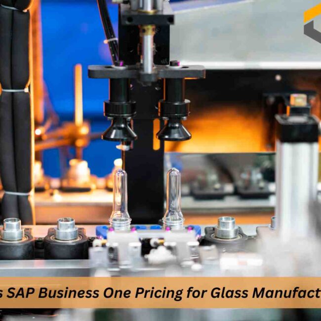 SAP Business One Pricing Glass: ERP cost, license plans, and implementation for manufacturers