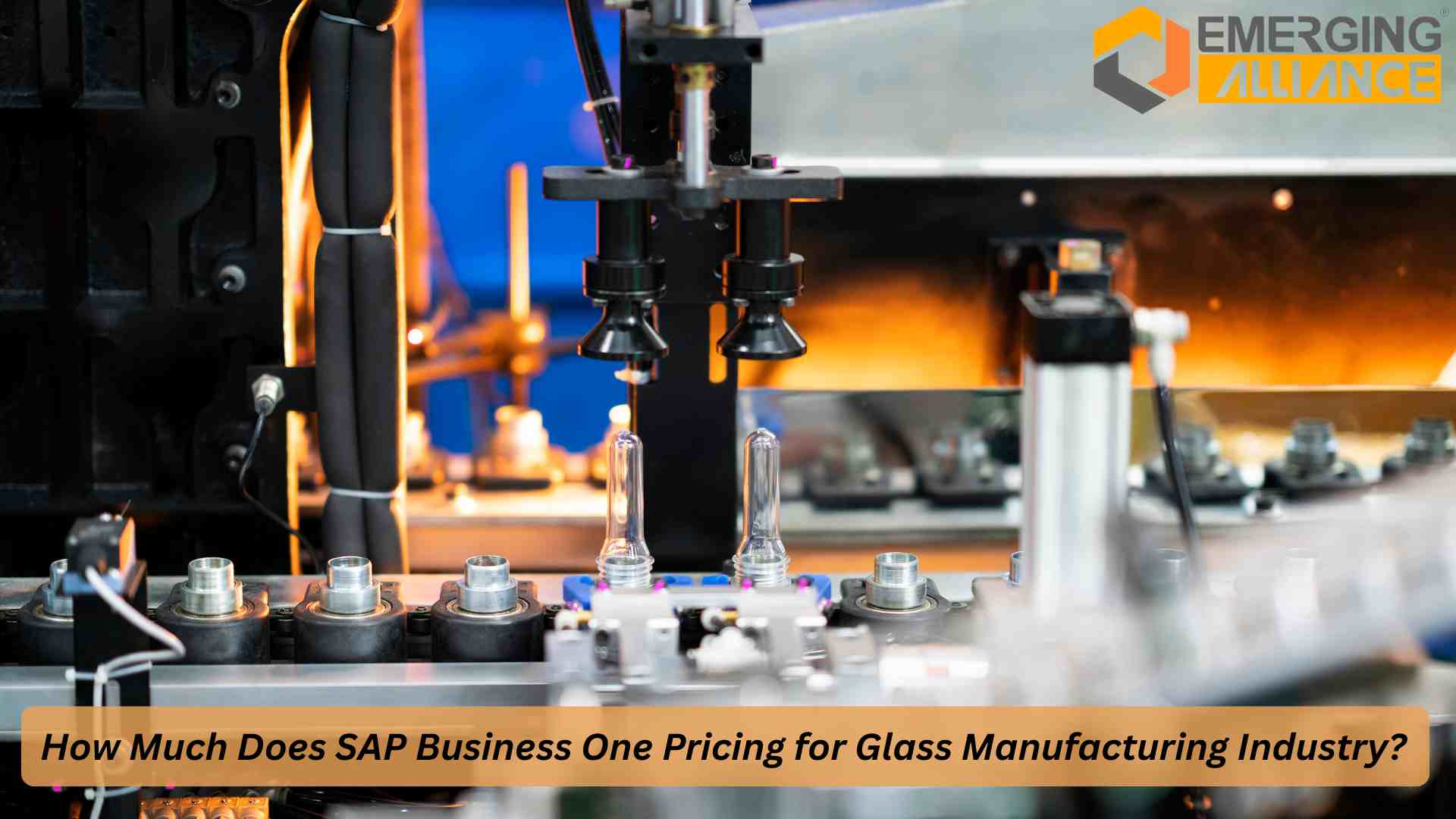 SAP Business One Pricing Glass: ERP cost, license plans, and implementation for manufacturers