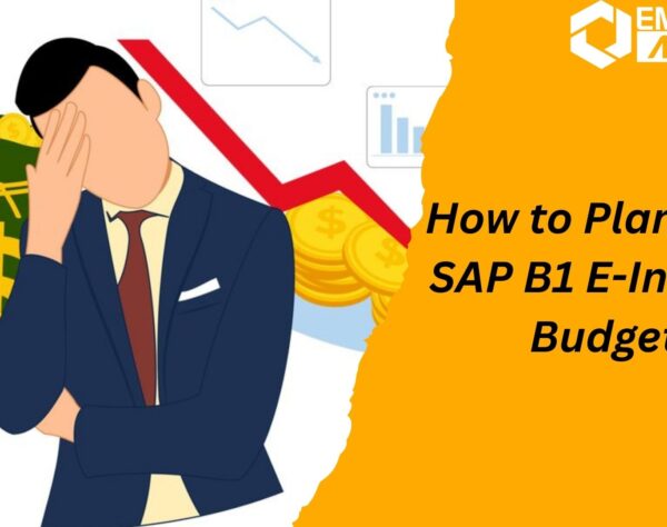 SAP B1 E-Invoice budgeting and compliance workflow for SAP Business One users