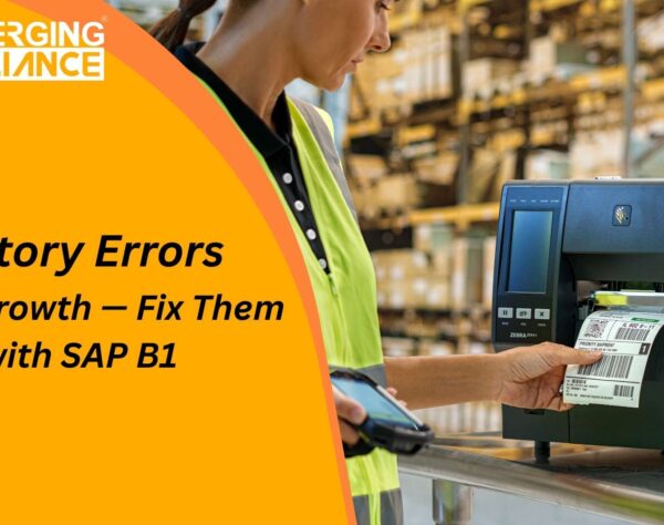 SAP B1 Barcodes enabling real-time barcode scanning in warehouse
