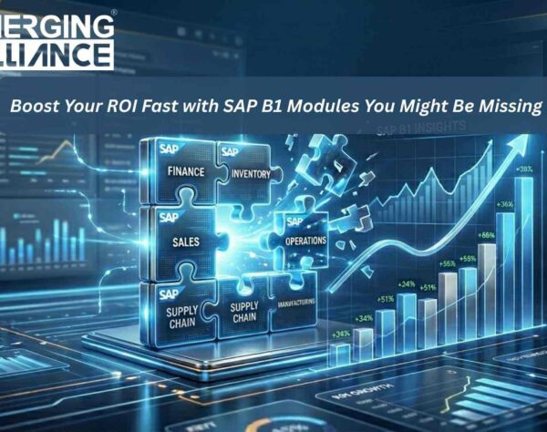 Illustration of business growth and ROI improvement using SAP B1 Modules