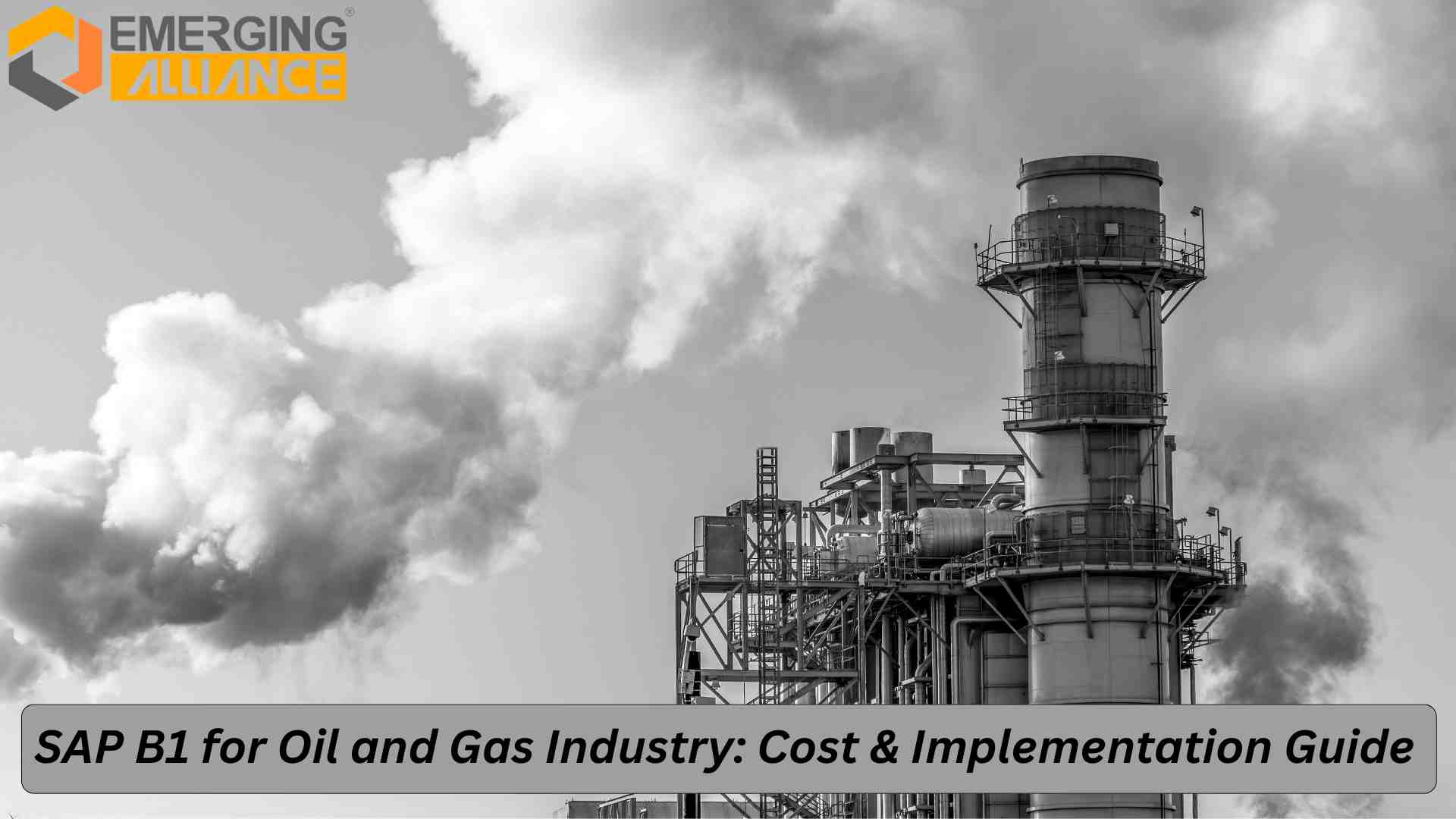 SAP B1 for Oil and Gas Industry dashboard showing real-time ERP analytics and financial reports