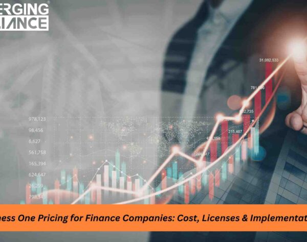 SAP Business One Pricing dashboard for finance companies ERP cost planning