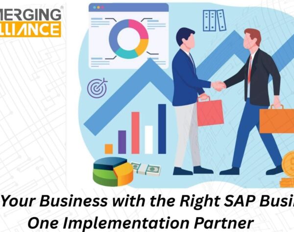 Emerging Alliance as a leading SAP Business One Implementation Partner in India delivering ERP solutions and growth