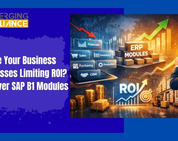 SAP Business One modules dashboard showing finance, inventory, and analytics for ERP ROI optimization