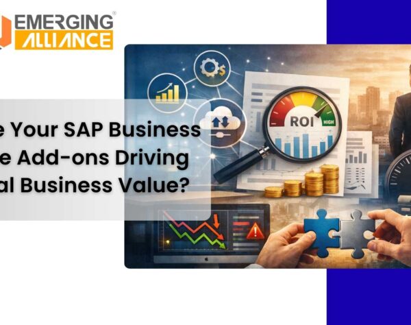 SAP Business One add-ons performance and ROI evaluation dashboard for enterprise decision making