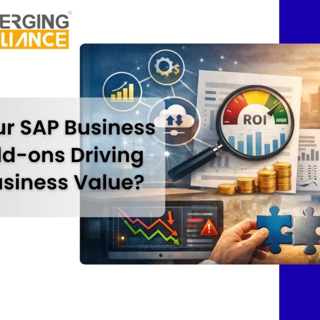 SAP Business One add-ons performance and ROI evaluation dashboard for enterprise decision making