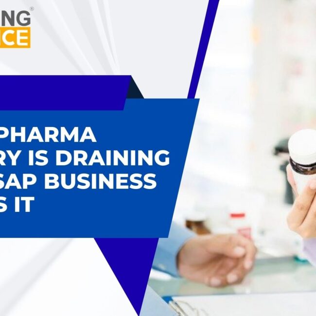 SAP Business One ERP for pharmaceutical industry showing batch tracking, expiry monitoring, and inventory management dashboard.