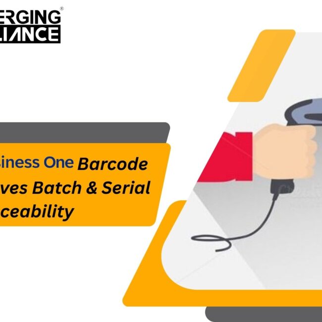 SAP B1 barcode scanning system showing batch and serial inventory traceability in warehouse operations