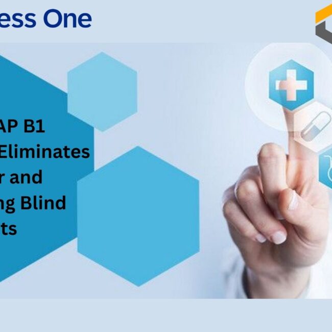 SAP B1 healthcare dashboard showing vendor management, procurement analytics, and hospital inventory insights.