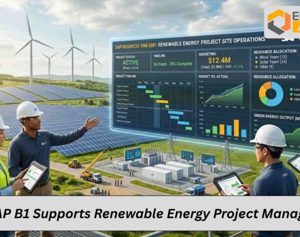 SAP B1 dashboard managing renewable energy projects and assets efficiently