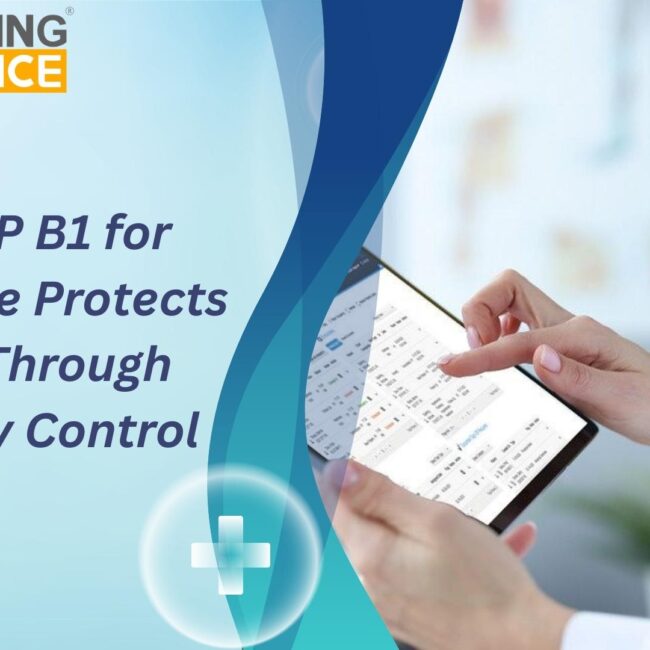 SAP B1 for Healthcare dashboard showing hospital inventory control and financial management
