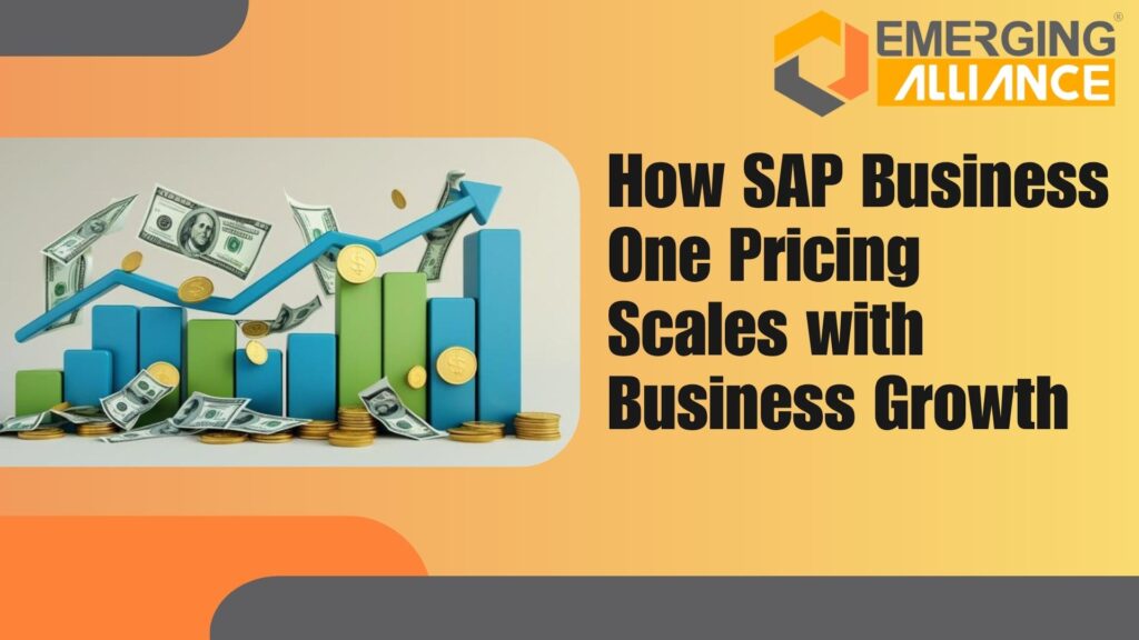 SAP Business One pricing model showing scalable ERP cost aligned with business growth and ROI
