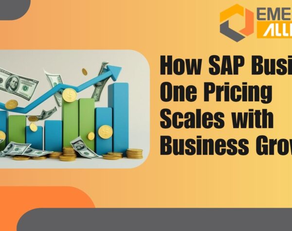 SAP Business One pricing model showing scalable ERP cost aligned with business growth and ROI
