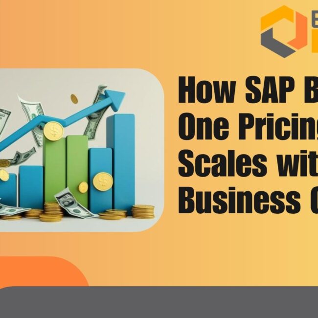 SAP Business One pricing model showing scalable ERP cost aligned with business growth and ROI