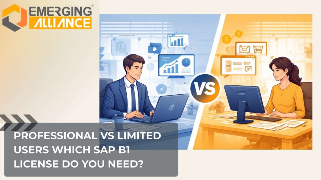 Comparison of SAP Business One professional user license and limited user licenses for ERP cost optimization