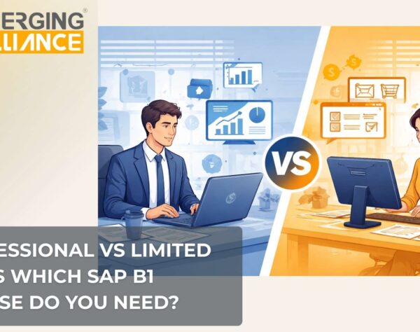 Comparison of SAP Business One professional user license and limited user licenses for ERP cost optimization