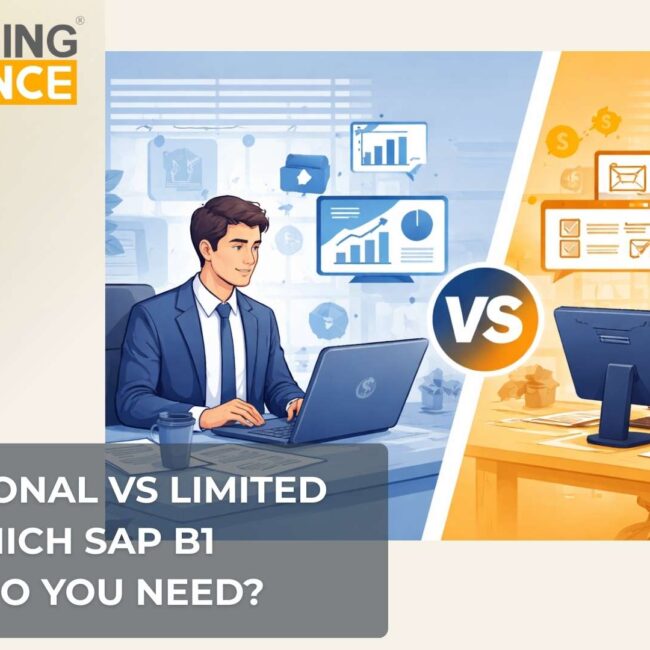 Comparison of SAP Business One professional user license and limited user licenses for ERP cost optimization