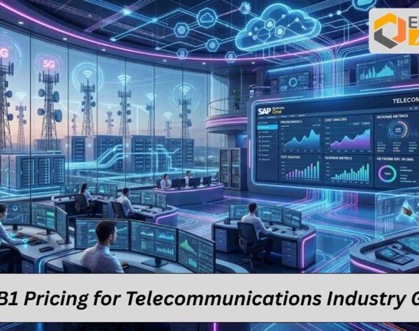 SAP B1 pricing for telecommunications industry ERP cost structure diagram