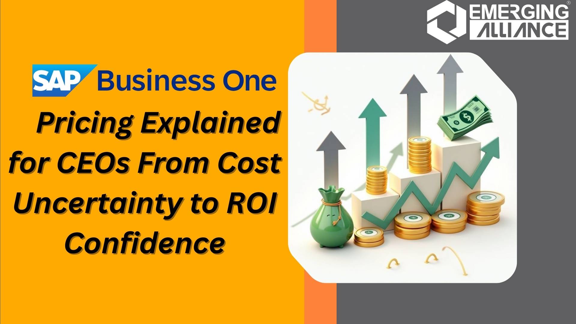 SAP B1 Pricing overview showing SAP Business One cost structure and ROI planning for Indian enterprises