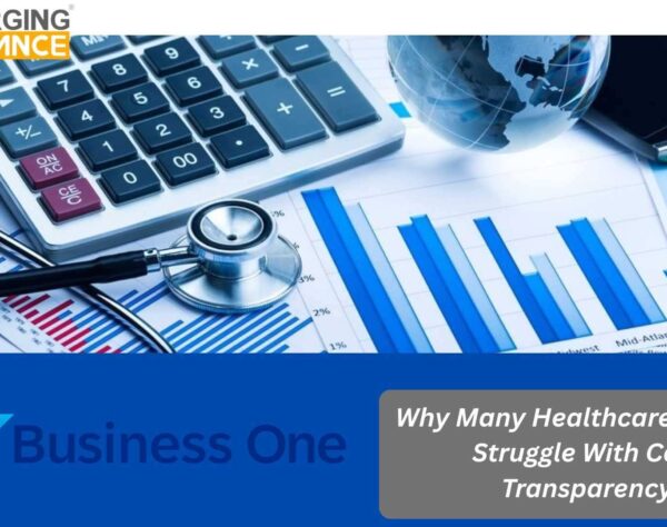 SAP Business One healthcare ERP dashboard showing hospital inventory, procurement costs, and financial analytics for healthcare organizations.