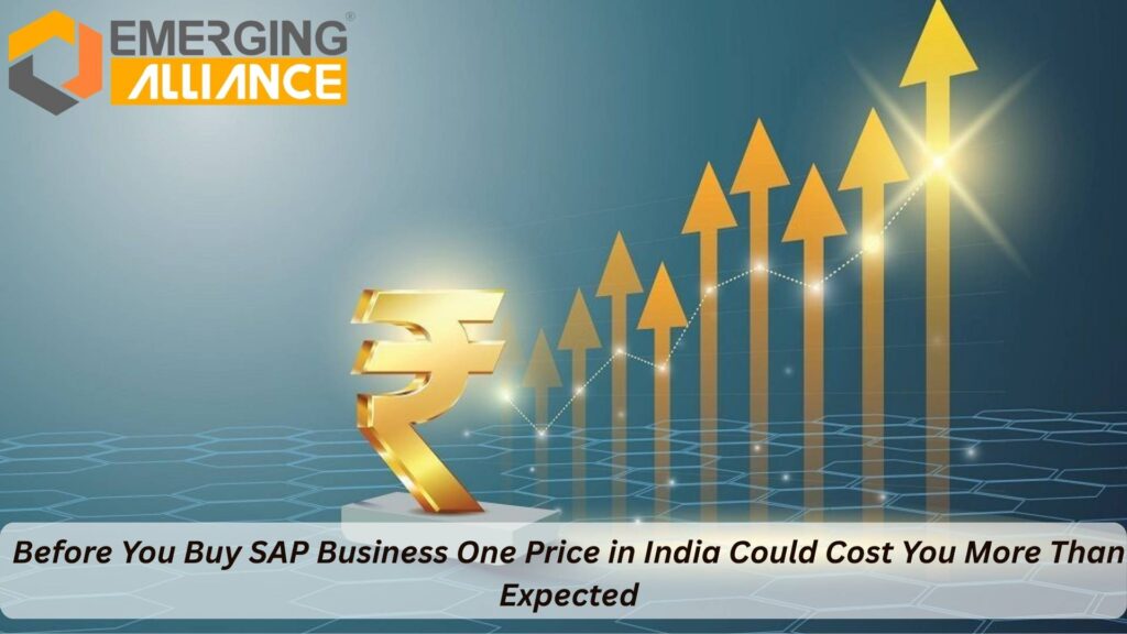 SAP B1 Price in India breakdown showing license, implementation, cloud and TCO components