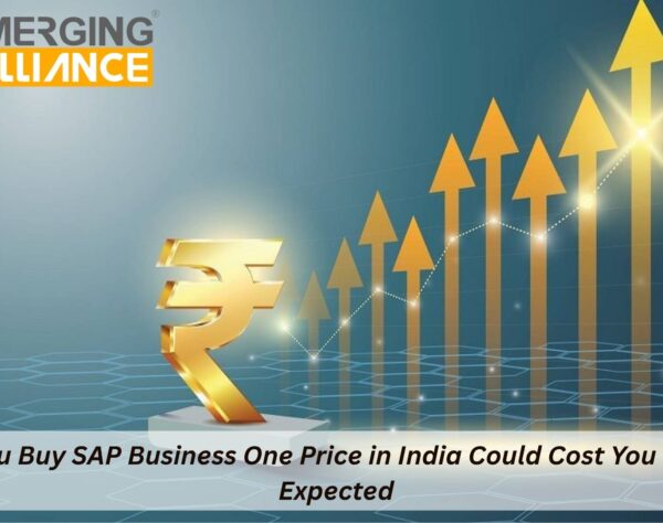 SAP B1 Price in India breakdown showing license, implementation, cloud and TCO components