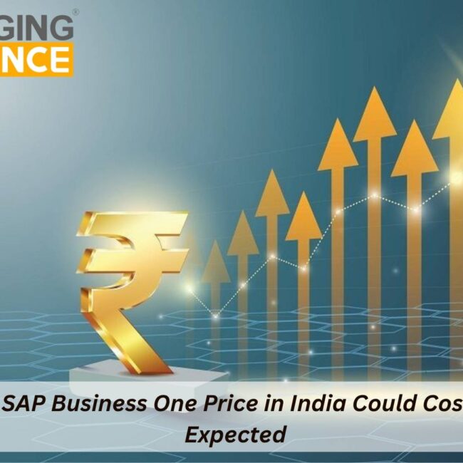 SAP B1 Price in India breakdown showing license, implementation, cloud and TCO components