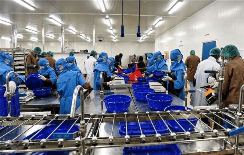 ABAD Fisheries factory operations