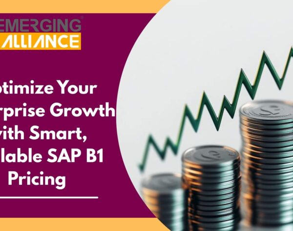 SAP Business One pricing structure showing license cost, implementation, and total cost of ownership for enterprises
