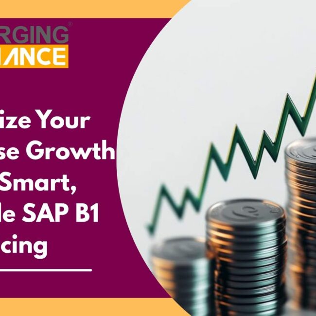 SAP Business One pricing structure showing license cost, implementation, and total cost of ownership for enterprises