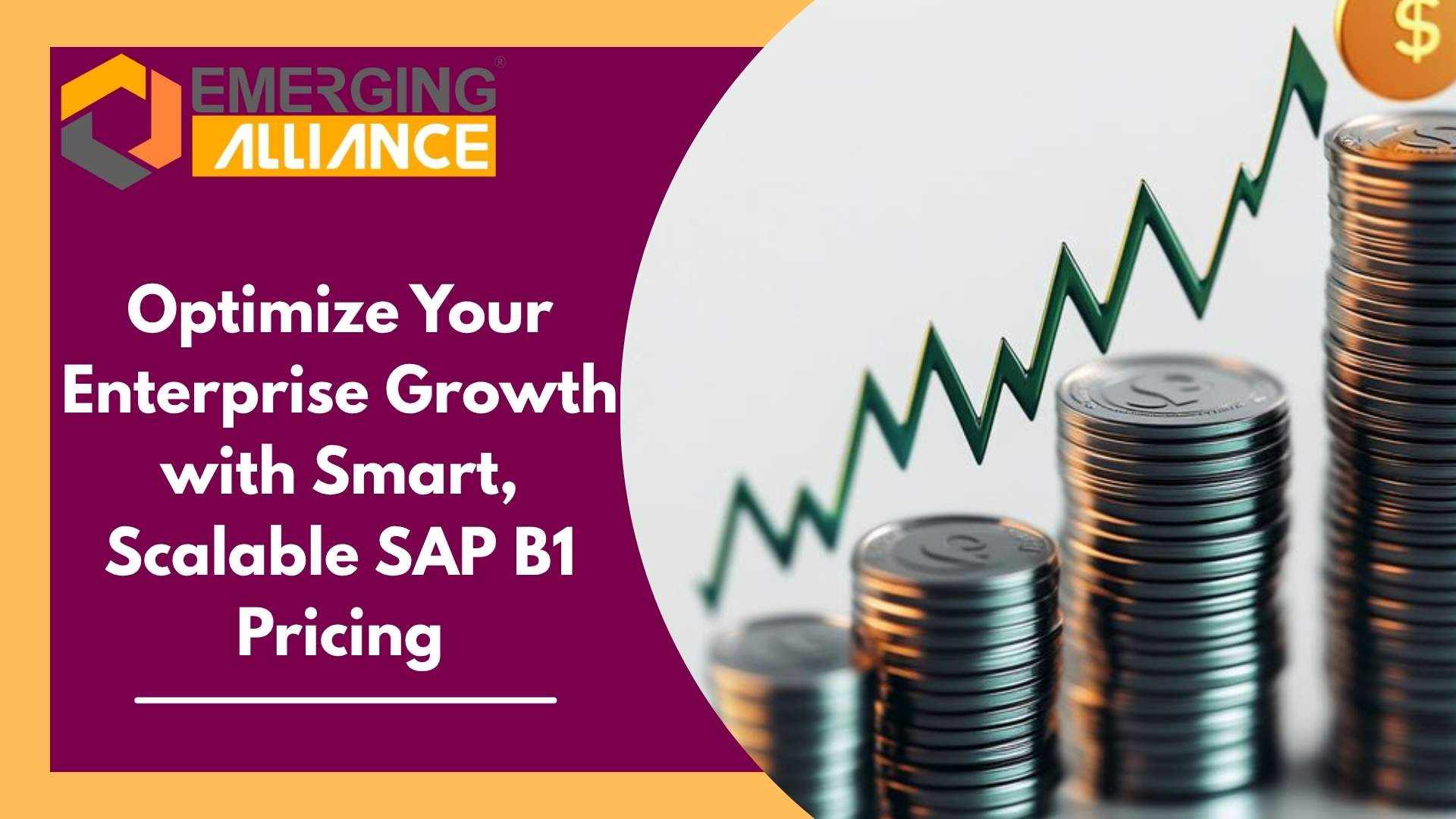 SAP Business One pricing structure showing license cost, implementation, and total cost of ownership for enterprises
