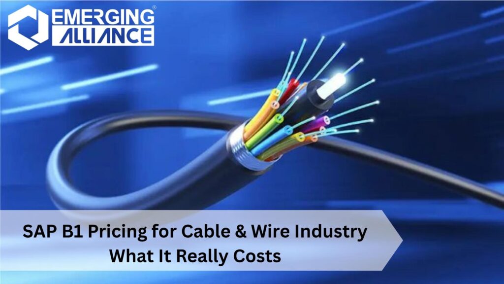 SAP B1 Pricing for Cable & Wire Industry cost structure and ROI analysis for cable manufacturers