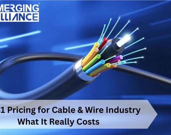 SAP B1 Pricing for Cable & Wire Industry cost structure and ROI analysis for cable manufacturers