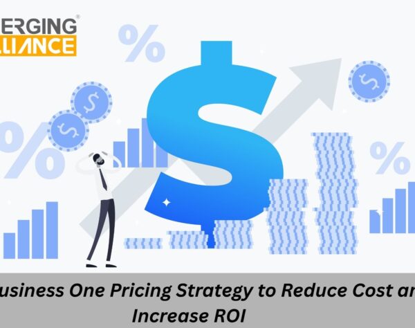 SAP Business One pricing strategy showing license audit, cost optimization, and ROI improvement