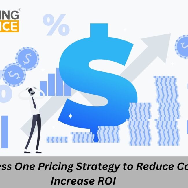 SAP Business One pricing strategy showing license audit, cost optimization, and ROI improvement