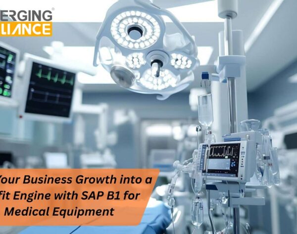 SAP B1 for Medical Equipment showing pricing control service revenue tracking and inventory optimization