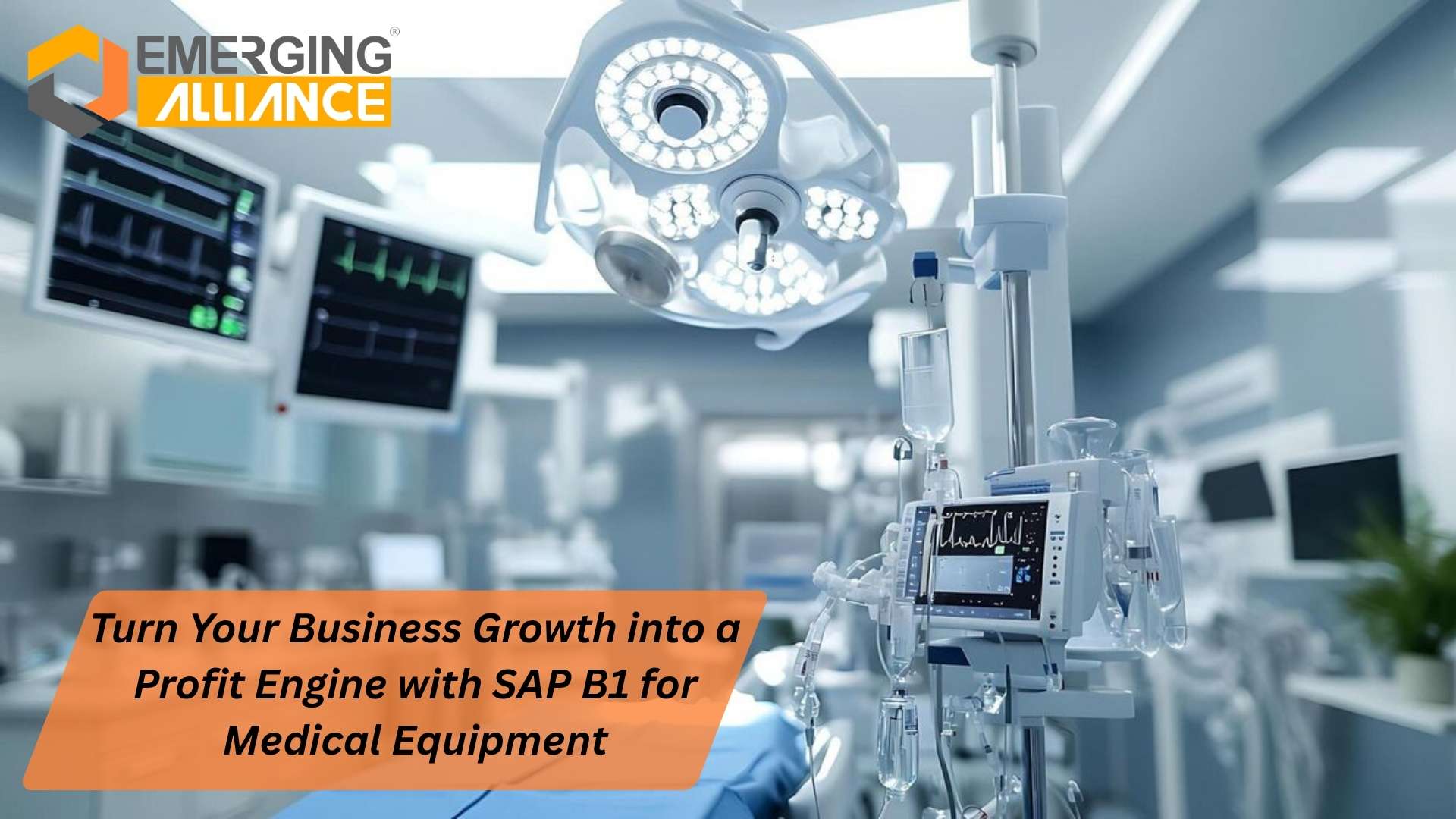 SAP B1 for Medical Equipment showing pricing control service revenue tracking and inventory optimization