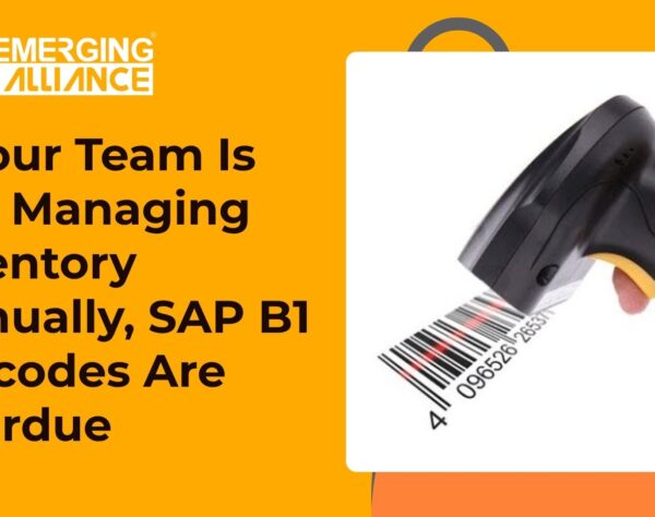 SAP B1 barcode scanning solution improving warehouse inventory accuracy.
