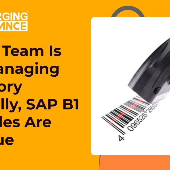 SAP B1 barcode scanning solution improving warehouse inventory accuracy.